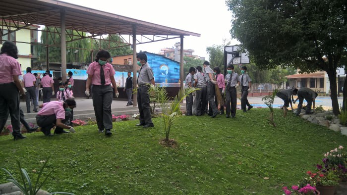 World Environment Day at School